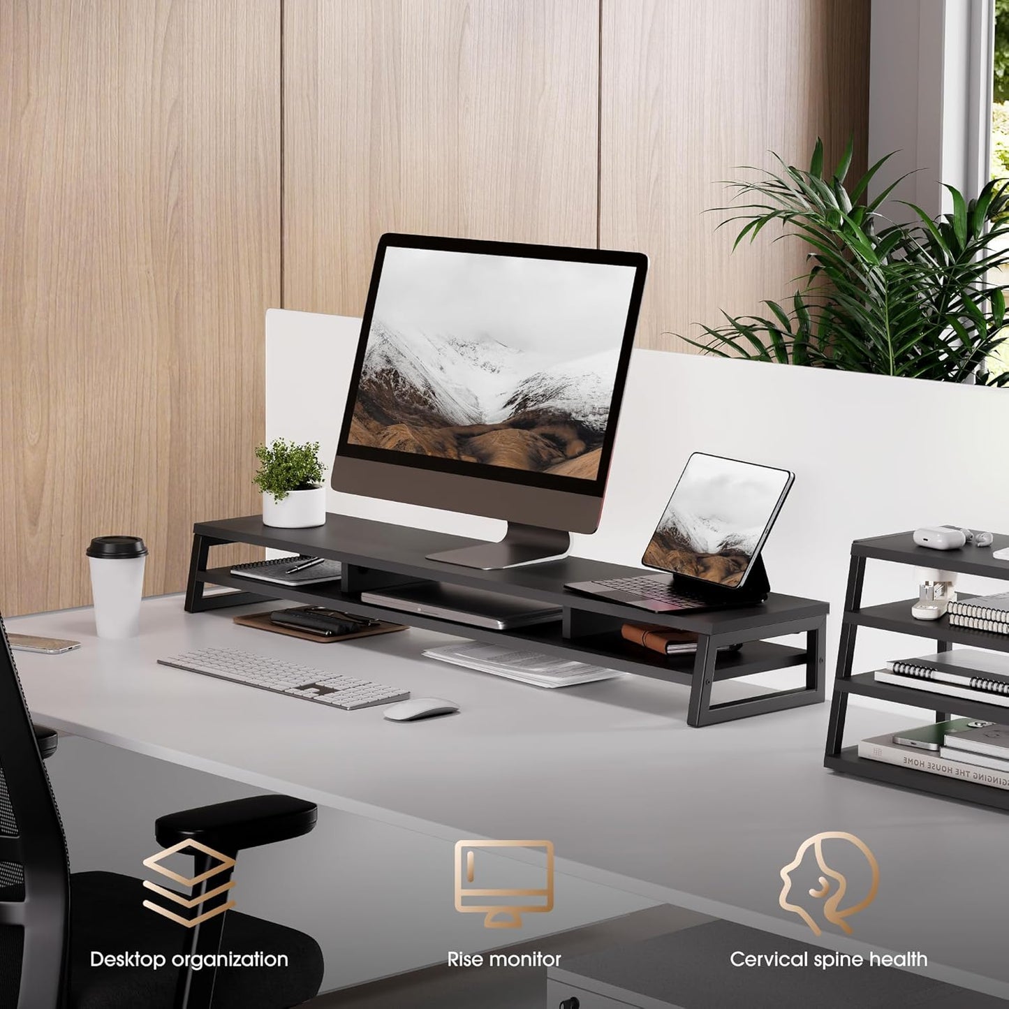 Dual Monitor Stand for Desk, 42.5In Large Monitor Riser for 2 Monitors, 2 Tier Computer Office Desk Top Shelf, Desktop Storage Stand for Laptop, PC, Computer, Printer